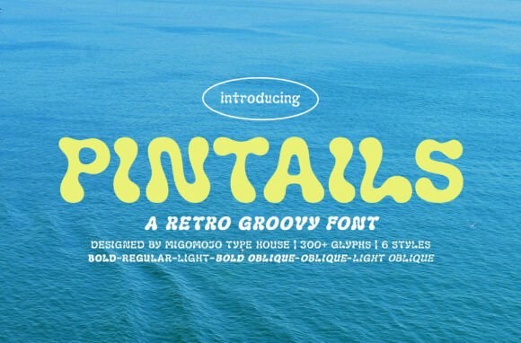 Pintails: A Decorative Font That Makes Your Campaign Feel Instantly Recognizable